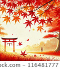 Autumn landscape with torii gates and autumn leaves 116481777