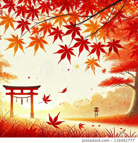 與鳥居門和秋葉的秋天風景 116481777