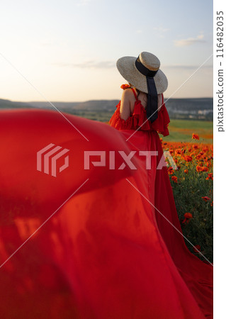 Woman poppy field red dress hat. Happy woman in a long red dress in a beautiful large poppy field. Blond stands with her back posing on a large field of red poppies. 116482035