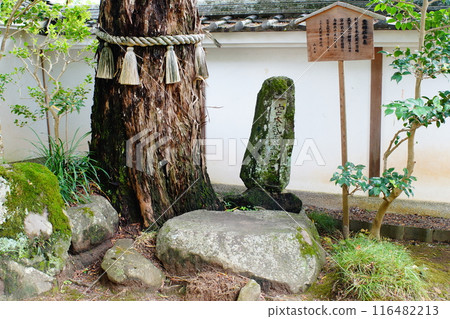 宮本武藏坐禪石 116482213