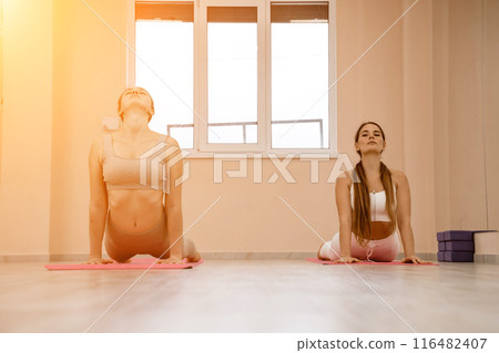 Two beautiful women cook doing yoga, sports together in the gym. Dressed in pink suits. The concept of grace and beauty of the body. 116482407