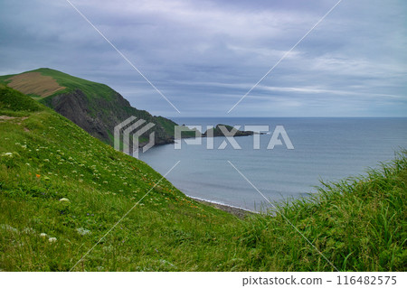 禮文島五羅塔岬的風景 禮文島五羅塔岬的風景 116482575