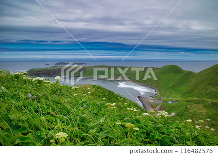 Scenery from Cape Gorota, Rebun Island 116482576