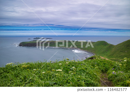禮文島五羅塔岬的風景 禮文島五羅塔岬的風景 116482577