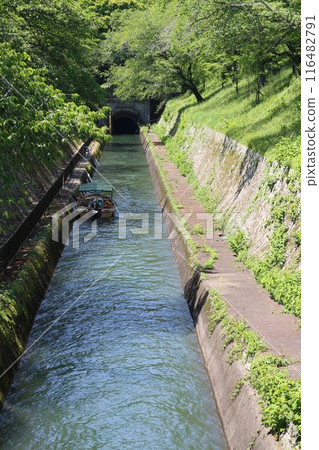 滋賀縣大津市、琵琶湖運河和新綠 滋賀縣大津市、琵琶湖運河和新綠 116482791