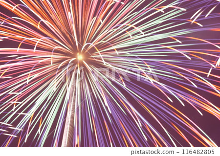 The Kyoto Artistic Fireworks were so vibrant and impressive! 116482805