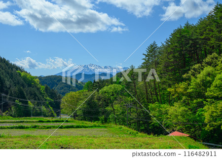 新綠與殘雪的御嶽山【拍攝於木曾郡木曾町】 116482911