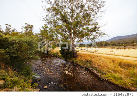 Lonnavale Landscape in Tasmania Australia Lonnavale Landscape in Tasmania Australia 116482975