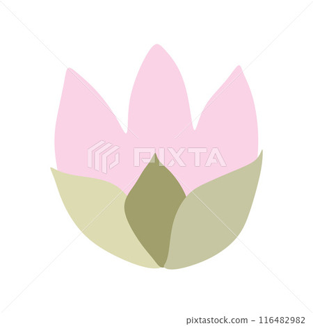 Tulip flower head hand drawn flat illustration. Spring blossom, pink bloom, floral element. Vector design, isolated. Mothers Day, Easter, seasonal, botanical clip art Tulip flower head hand drawn flat illustration. Spring blossom, pink bloom, floral element. Vector design, isolated. Mothers Day, Easter, seasonal, botanical clip art 116482982