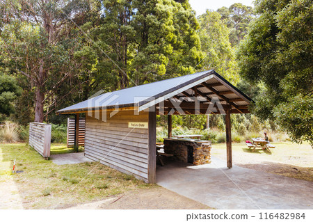 Mount Field in Tasmania Australia 116482984