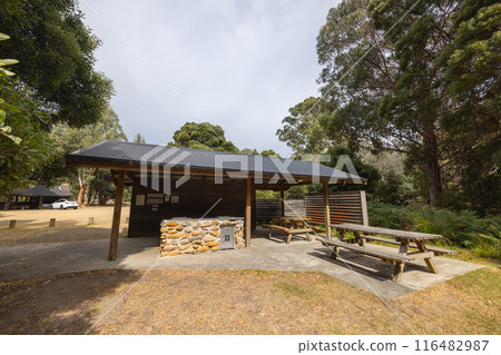 Mount Field in Tasmania Australia Mount Field in Tasmania Australia 116482987