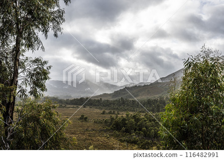 Gordon River Road Landscape in Tasmania Australia Gordon River Road Landscape in Tasmania Australia 116482991