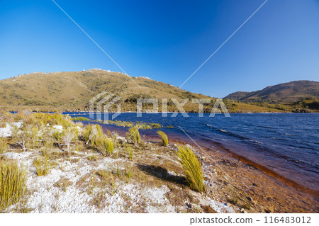 Lake Pedder Landscape in Tasmania Australia 116483012