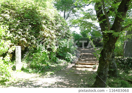 Kurobane Castle Ruins Park/Otawara City, Tochigi Prefecture 116483068
