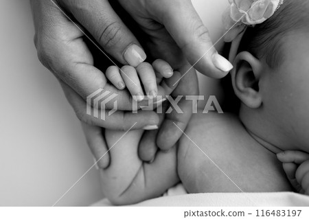 Small hand of a newborn baby with tiny fingers, head, nose and ear of a newborn. Palm hand of parents, father and mother of a newborn. Studio macro black and white photography.  116483197