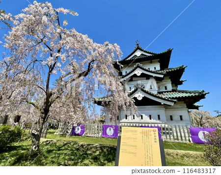 [Aomori Prefecture] Hirosaki Castle and cherry blossoms 116483317