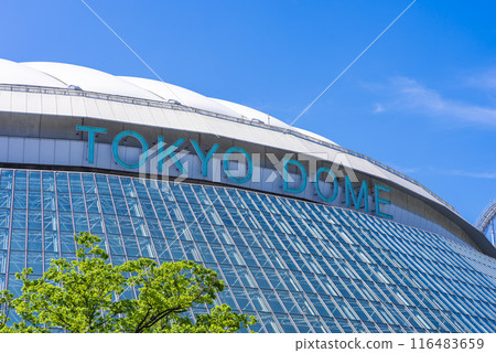 Tokyo Dome   116483659