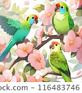 Cute parakeet and flowers 116483746