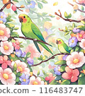 Cute parakeet and flowers 116483747
