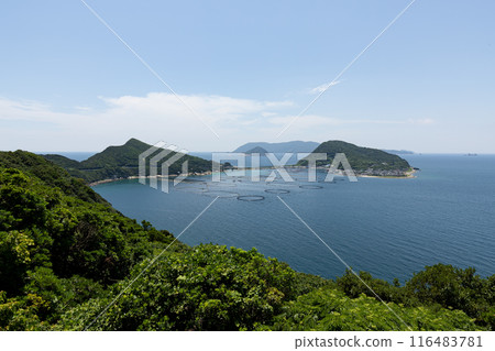 Kashiwa Island (Otsuki Town, Kochi Prefecture) Kashiwa Island (Otsuki Town, Kochi Prefecture) 116483781