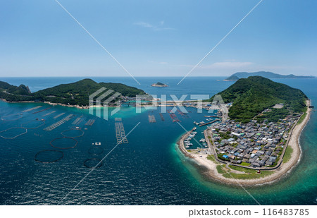 柏島（高知縣大月町） 116483785