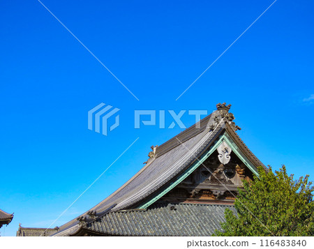 藍天和岡山西大寺主殿的屋頂 藍天和岡山西大寺主殿的屋頂 116483840