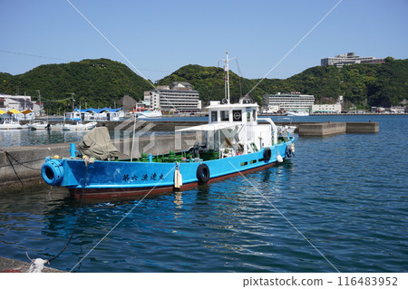 Wakayama Katsuura Fishing Port 116483952