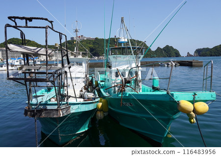 Wakayama Katsuura Fishing Port 116483956