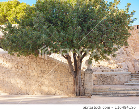 Denia, Costa Blanca, Historische Altstadt Denia, Costa Blanca, Historische Altstadt 116484156