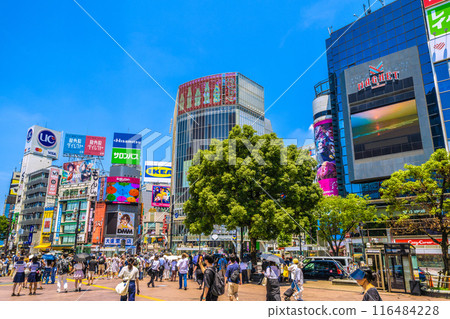 日本東京城市景觀七月。擠滿外國遊客的澀谷十字路口（等待紅綠燈）= 5日 116484228