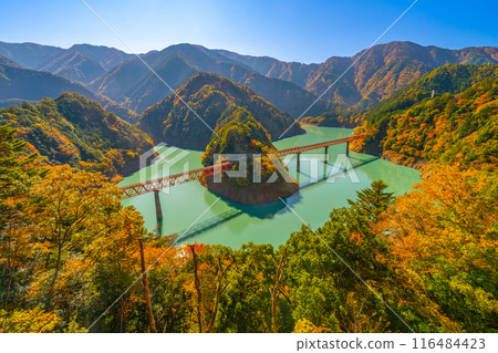 Autumn leaves at Okuoikojo Station, a spectacular autumn scene, Shizuoka Prefecture 116484423