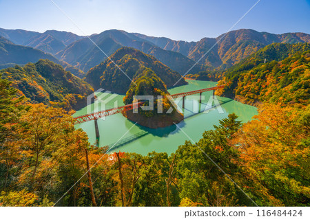 Okuoikojo 站的紅葉 116484424