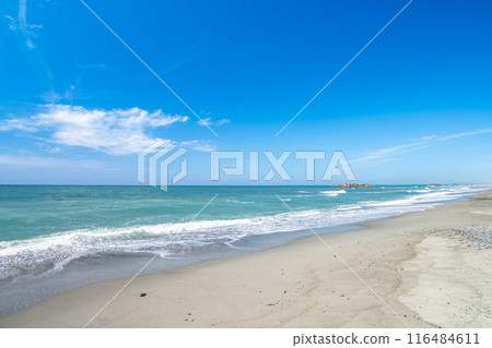 濱松市（靜岡縣）中田島沙丘的美麗海岸風光 116484611