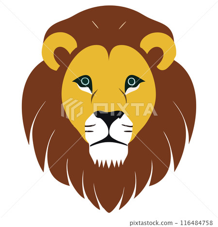 lion 116484758