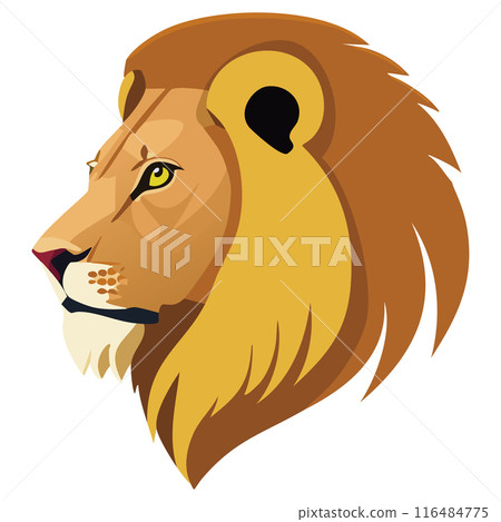 獅子的輪廓 116484775