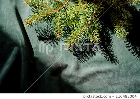 Abstract green velvet Christmas background with Christmas tree branches. Abstract green velvet Christmas background with Christmas tree branches. 116485004