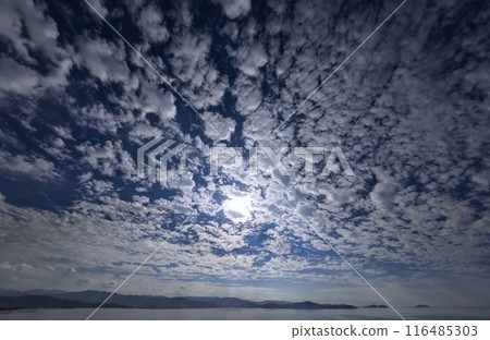 令人振奮的早晨天空,滿天鱗片雲,初冬,超廣角,天空為主,231123am 令人振奮的早晨天空,滿天鱗片雲,初冬,超廣角,天空為主,231123am 116485303