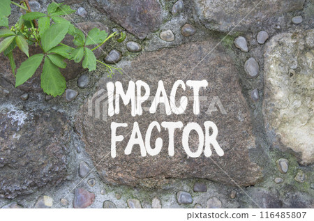 Impact Factor symbol. Stone wall with words Impact Factor. Beautiful stone background. Business and Impact Factor concept. Copy space. Impact Factor symbol. Stone wall with words Impact Factor. Beautiful stone background. Business and Impact Factor concept. Copy space. 116485807