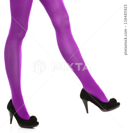 Woman long legs and violet stockings isolated 116485925