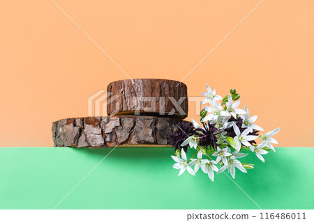 Concept scene stage showcase for new product, banner, promotion sale, cosmetic, presentation. Wood slice podium, white Ornithogalum flowers and burgundy aquilegia flowers on green background. Concept scene stage showcase for new product, banner, promotion sale, cosmetic, presentation. Wood slice podium, white Ornithogalum flowers and burgundy aquilegia flowers on green background. 116486011