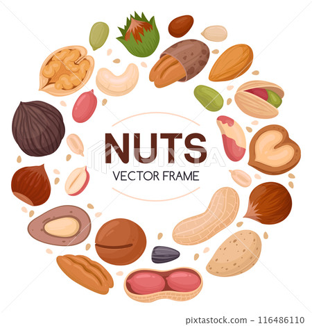 Nuts design frame. Cartoon nut snacks frame, hazelnut, walnut, almond and pistachio frame of round shape flat vector illustration. Circle nuts border frame 116486110