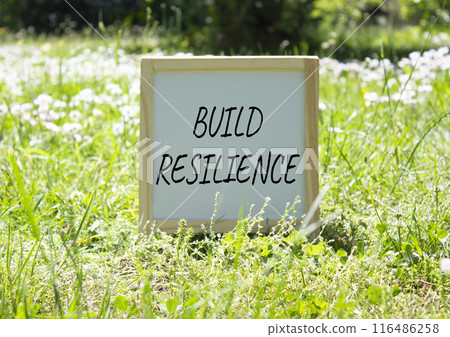Build Resilience symbol. Build Resilience white chalk blackboard. Beautiful meadow background. Business and Build Resilience concept. Copy space. Build Resilience symbol. Build Resilience white chalk blackboard. Beautiful meadow background. Business and Build Resilience concept. Copy space. 116486258