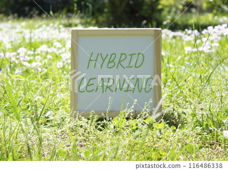 Hybrid Learning symbol. Concept word Hybrid Learning on white chalk background. Beautiful meadow background. Business and Hybrid Learning concept. Copy space Hybrid Learning symbol. Concept word Hybrid Learning on white chalk background. Beautiful meadow background. Business and Hybrid Learning concept. Copy space 116486338