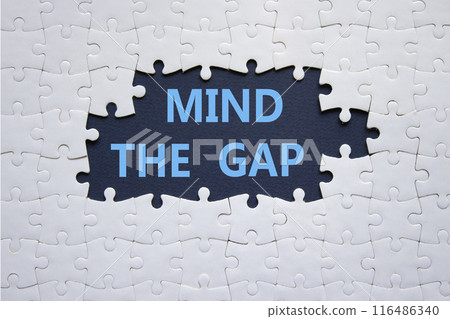Mind the gap symbol. Concept words Mind the gap on white puzzle. Beautiful deep blue background with succulent plant. Business and Mind the gap concept. Copy space. 116486340