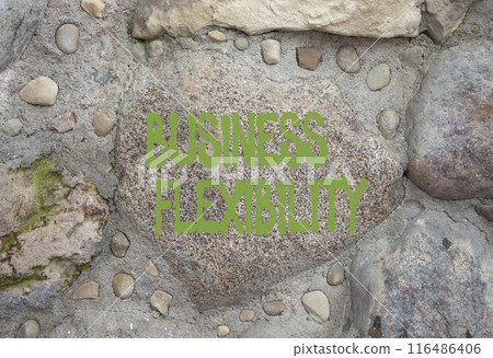 Business Flexibility symbol. Stone wall with words Business Flexibility. Beautiful stone background. Business and Business Flexibility concept. Copy space. Business Flexibility symbol. Stone wall with words Business Flexibility. Beautiful stone background. Business and Business Flexibility concept. Copy space. 116486406