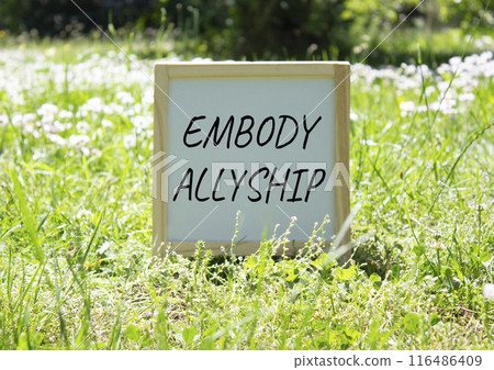 Embody Allyship symbol. Concept word Embody Allyship on white chalk background. Beautiful meadow background. Business and Embody Allyship concept. Copy space 116486409