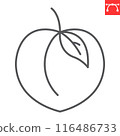 Peach line icon, fresh and fruit, peach vector icon, vector graphics, editable stroke outline sign, eps 10 116486733