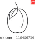 Plum line icon, fresh and fruit, apricot vector icon, vector graphics, editable stroke outline sign, eps 10 116486739