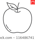 Apple line icon, fresh and fruit, apple vector icon, vector graphics, editable stroke outline sign, eps 10 116486741