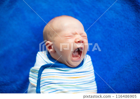 Swaddling newborn child. Baby in swaddle blanket. Swaddling newborn child. Baby in swaddle blanket. 116486905